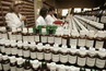 Гомеопатические препараты из китайской аптеки при гастрите